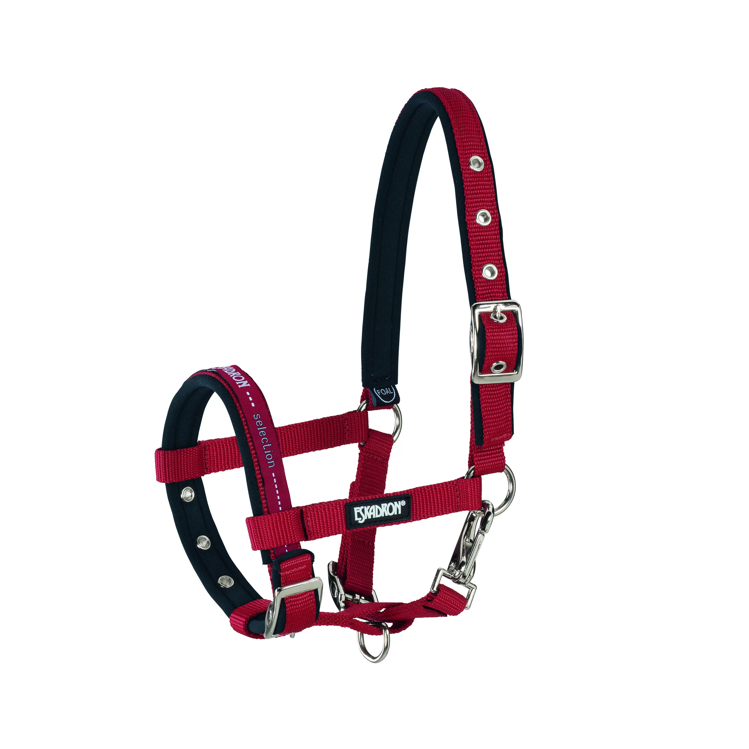 Squadron Foal Halter