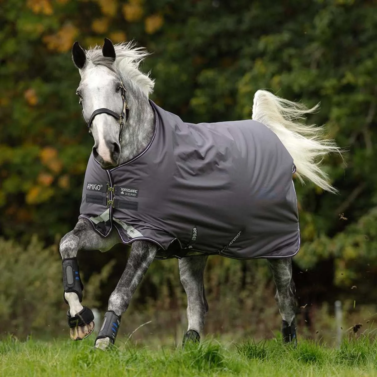 Amigo Bravo-12 Turnout lite 1200d