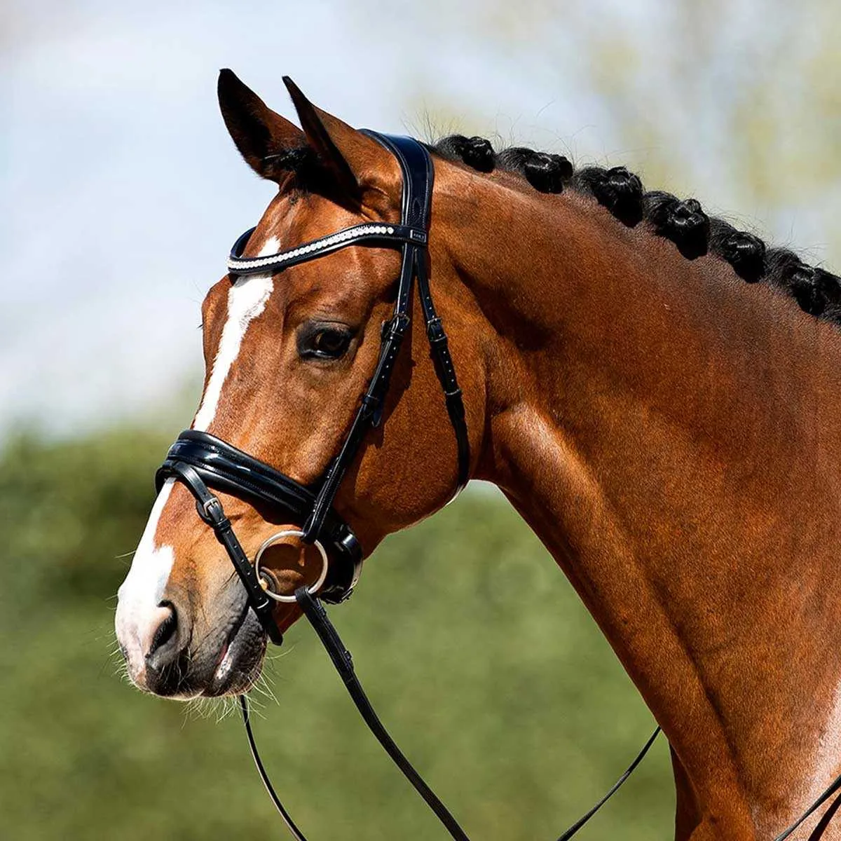 ANKY ATH20005 Bridle
