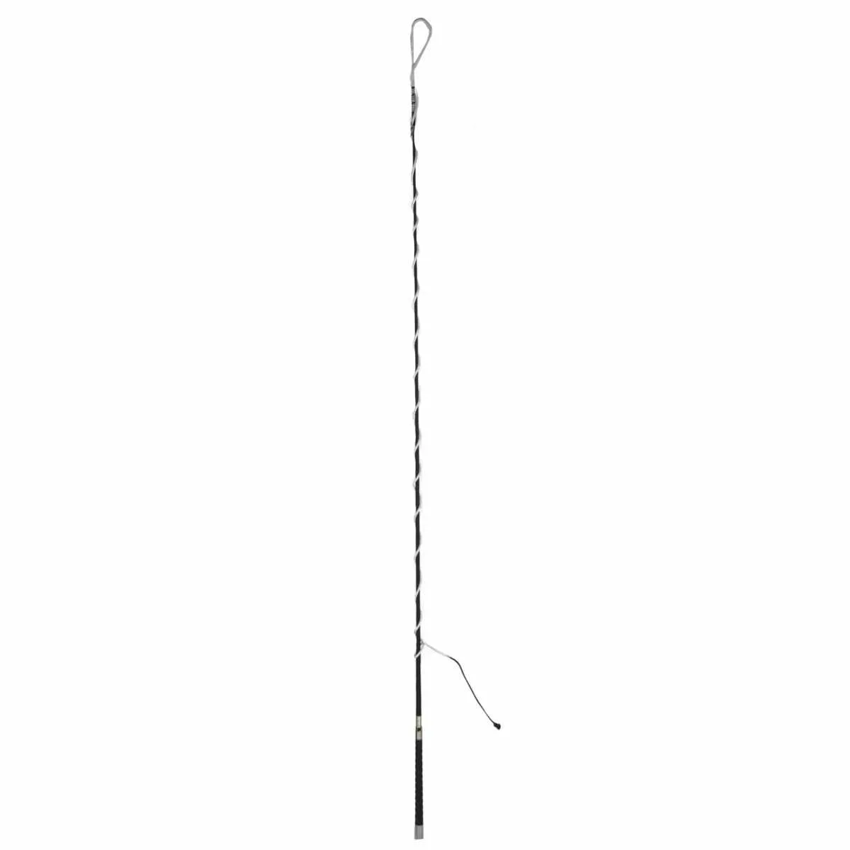 Inspection whip