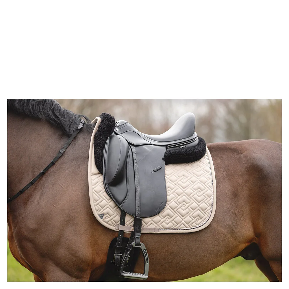 Anky Saddle Pad Profession XB25001 3C