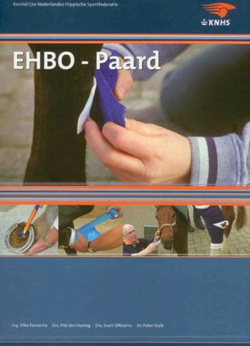 First Aid Horse (KNHS) a