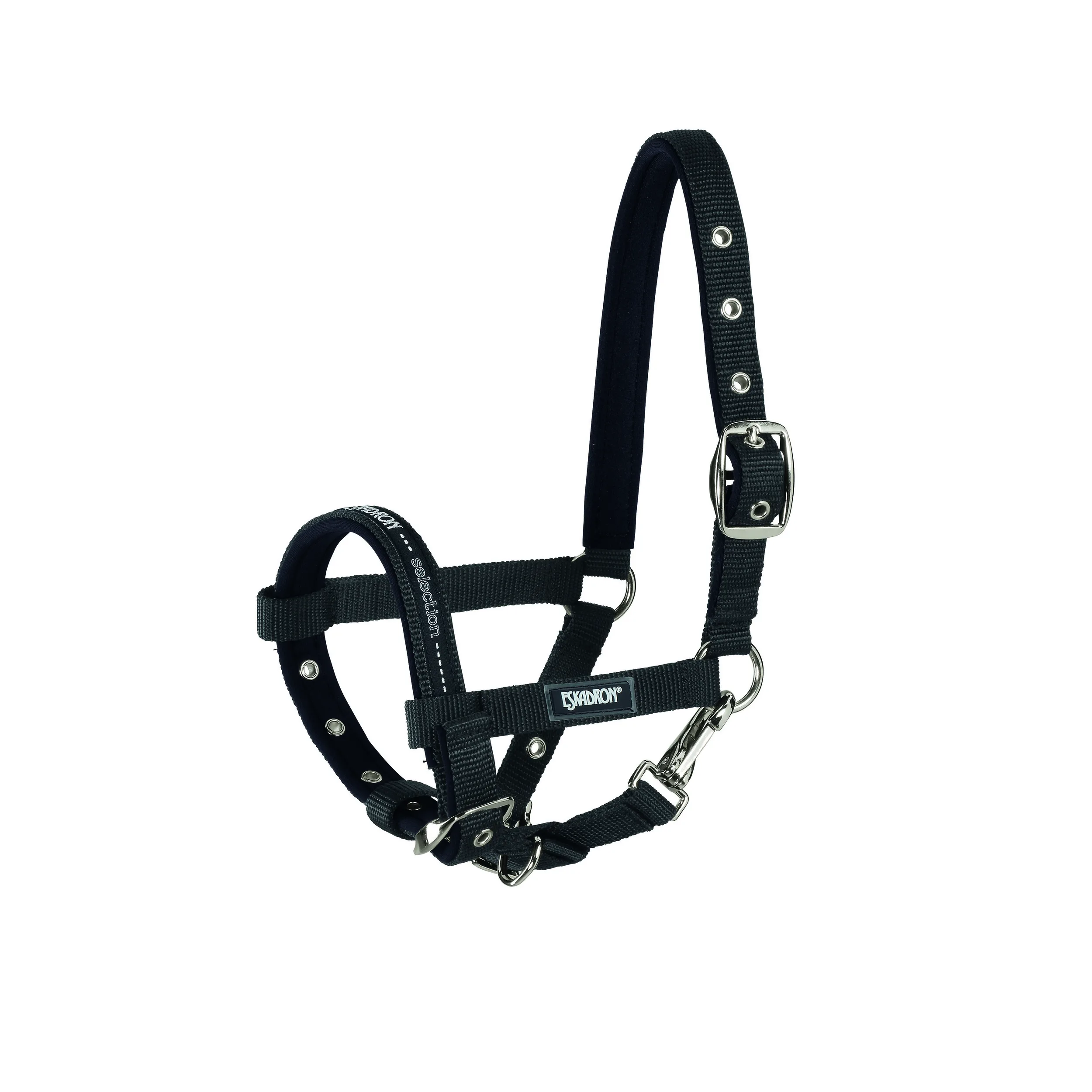 Squadron Foal Halter