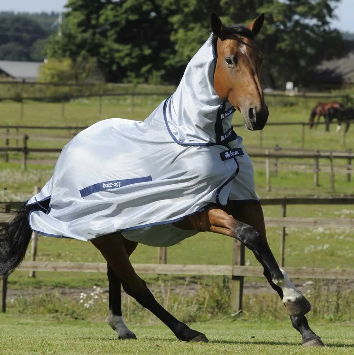 Bucas Buzz-off fly rug