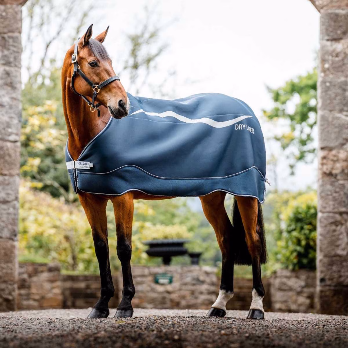 Horseware Dry liner