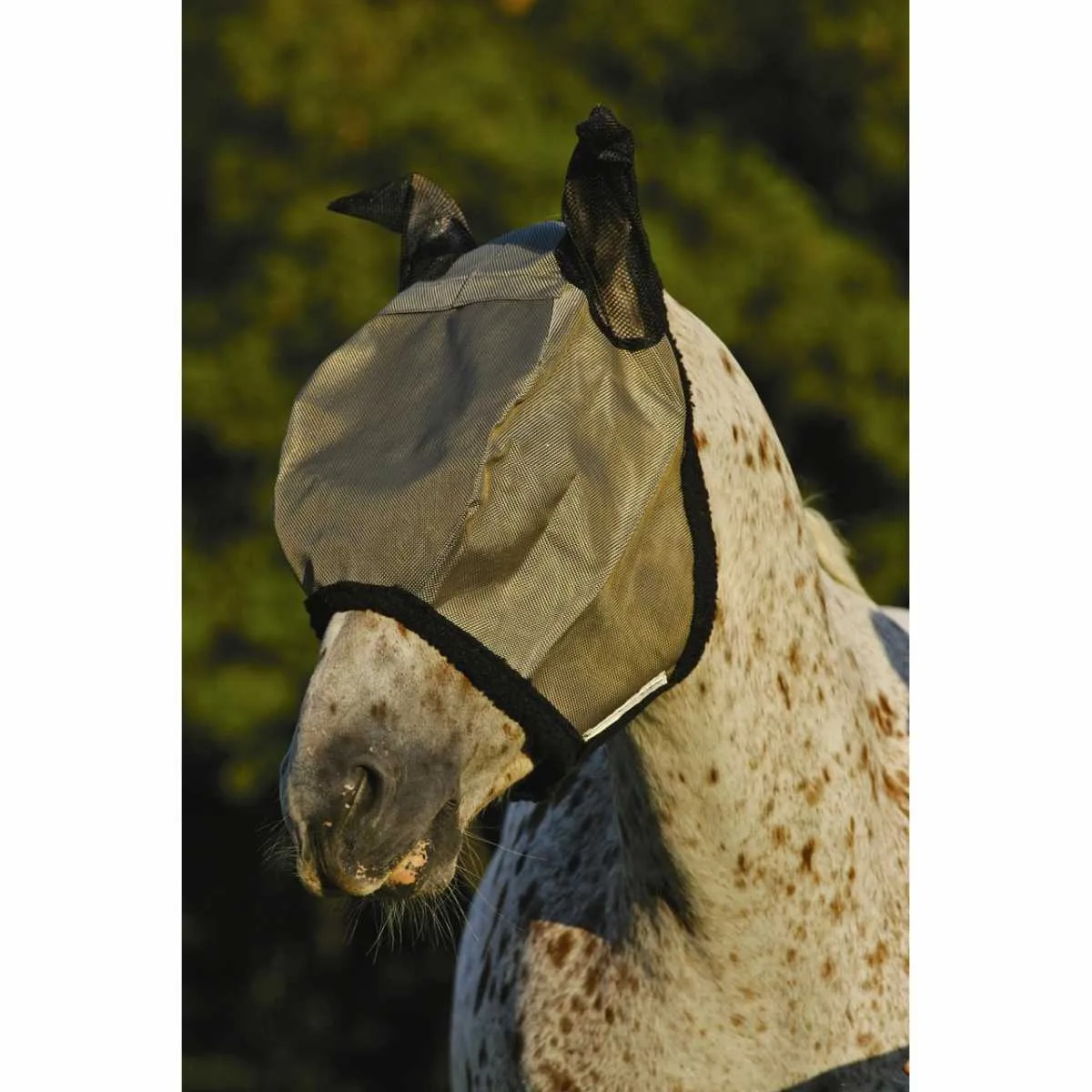 Amigo Flymask