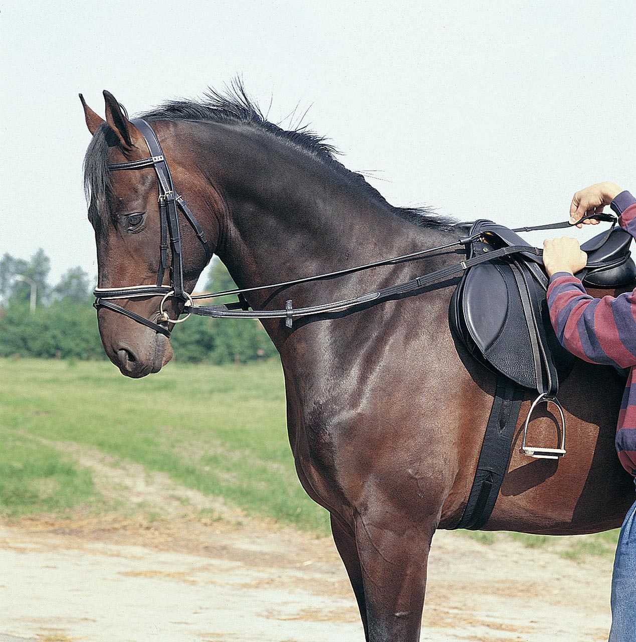 Pagony Neck Extender