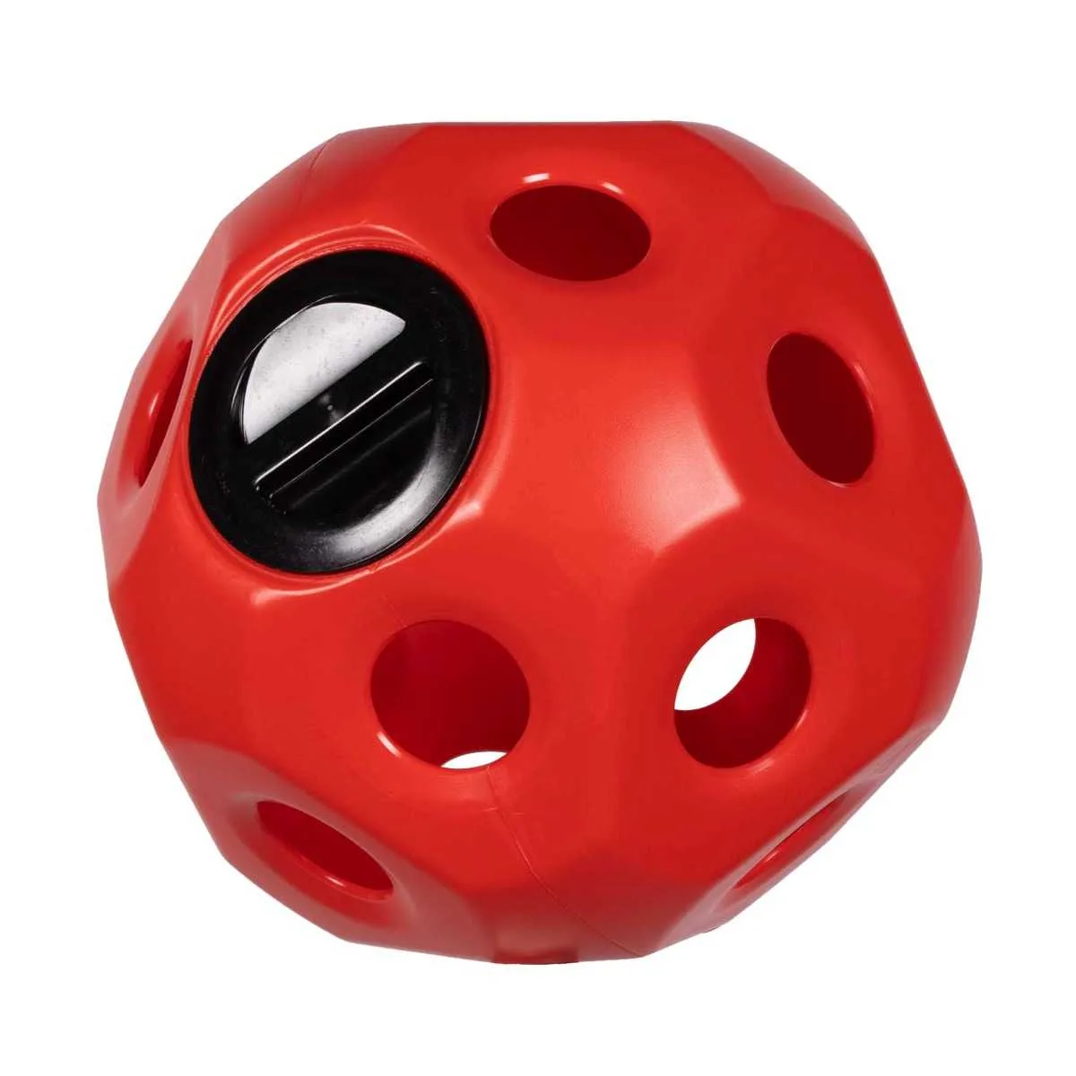 Pagony Hay Feed Ball