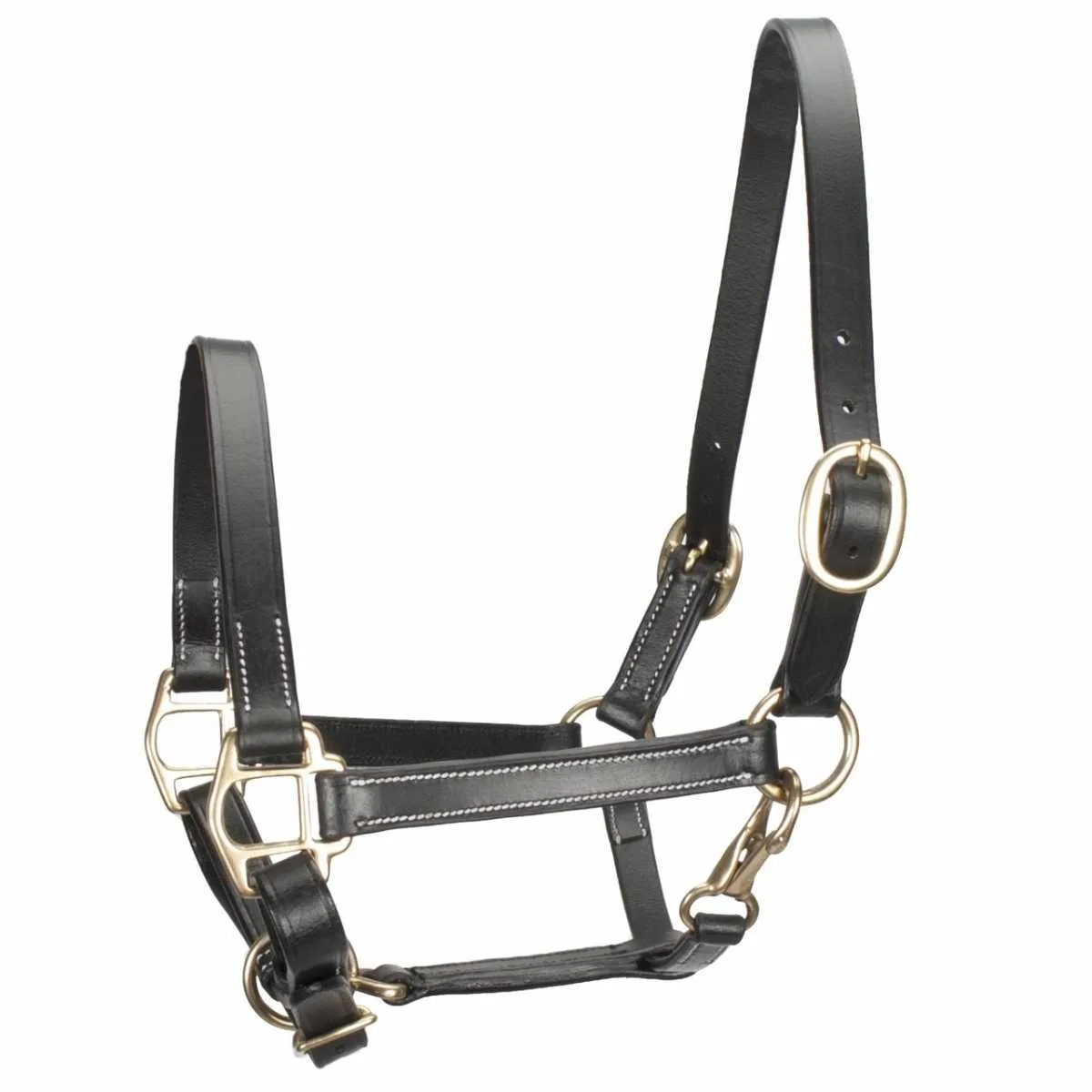 Pagony Leather Foal Halter