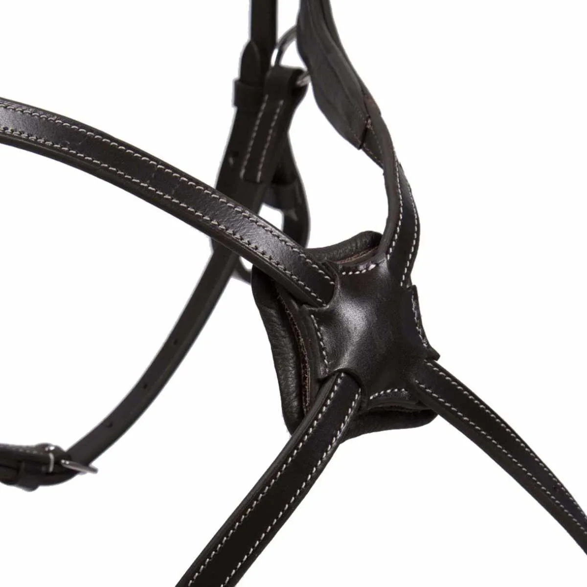 Rossner Fermo bridle
