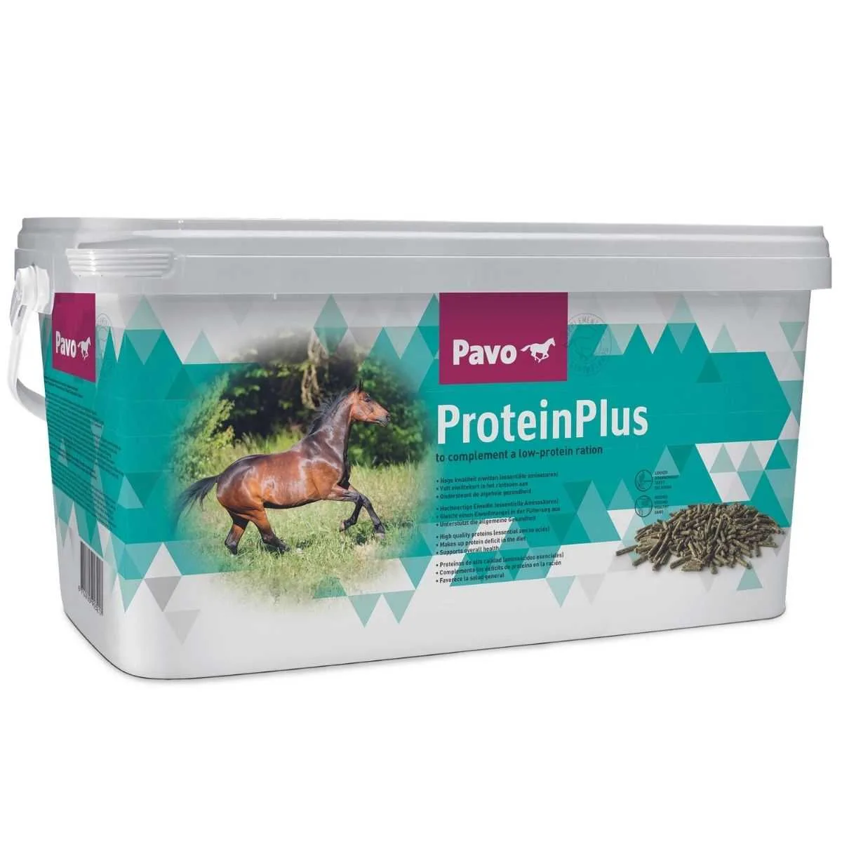 Pavo ProteinPlus