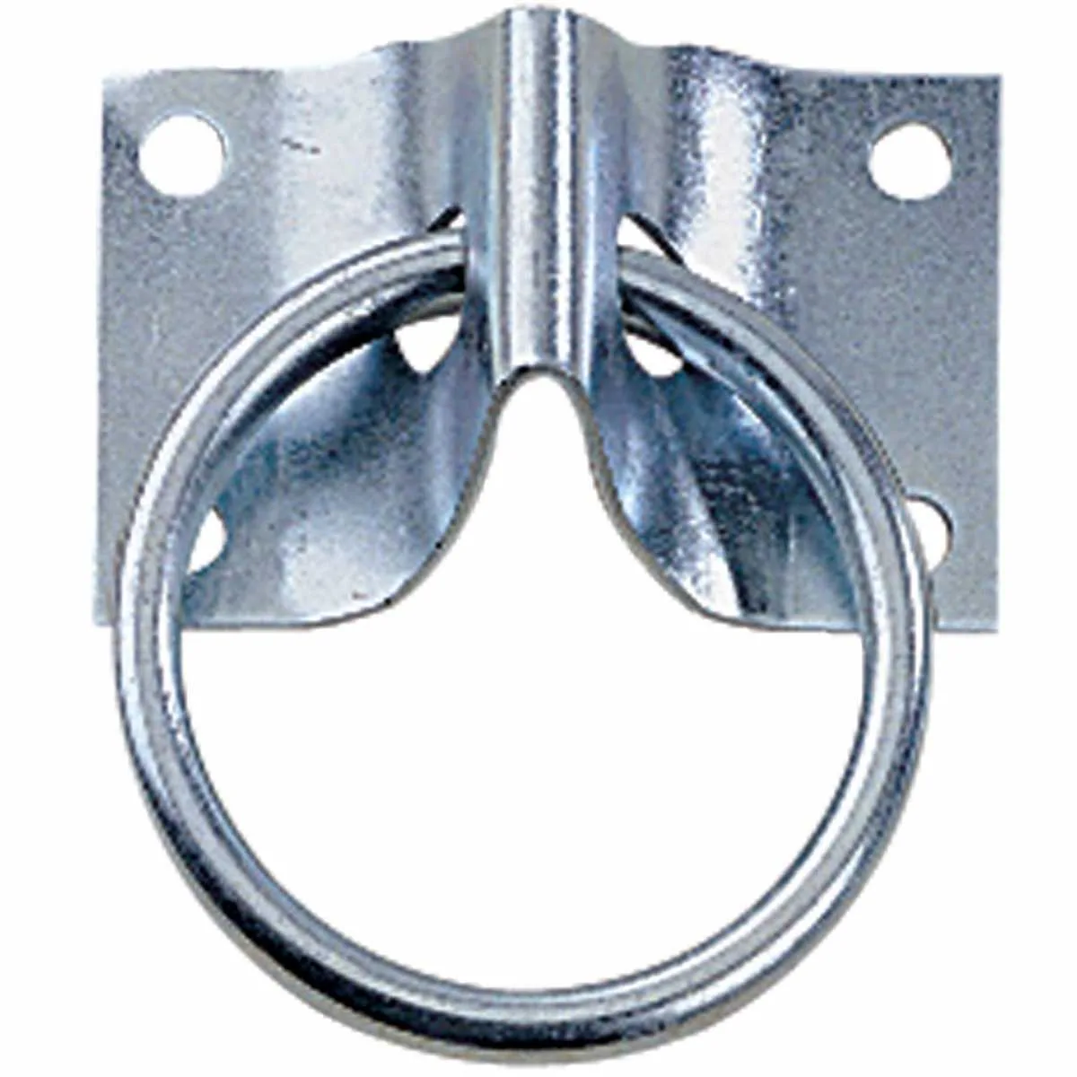 Wall ring with back plate