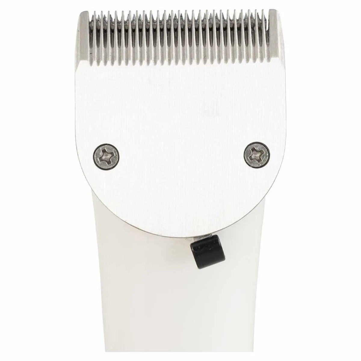 Premiere Condor Clipper