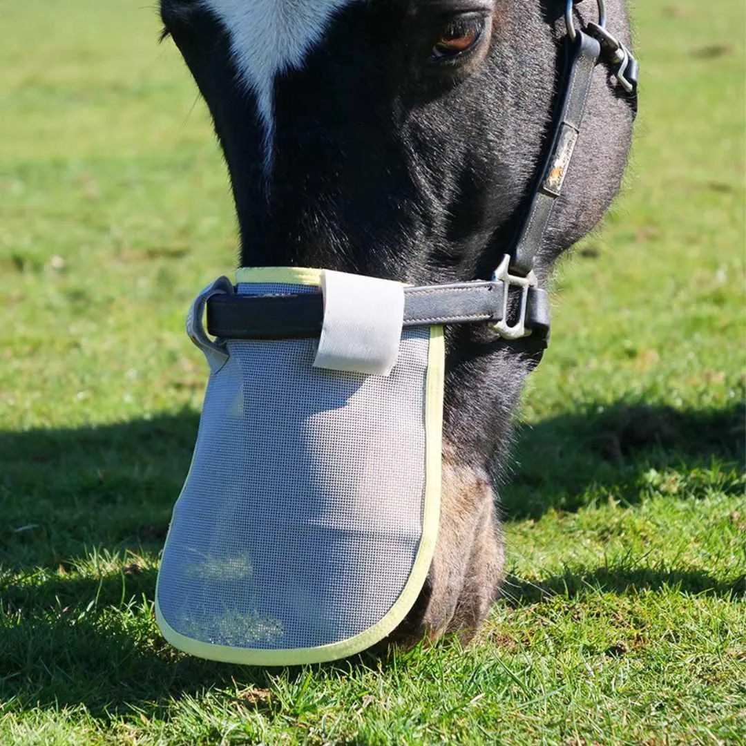 Field Relief Nose Guard