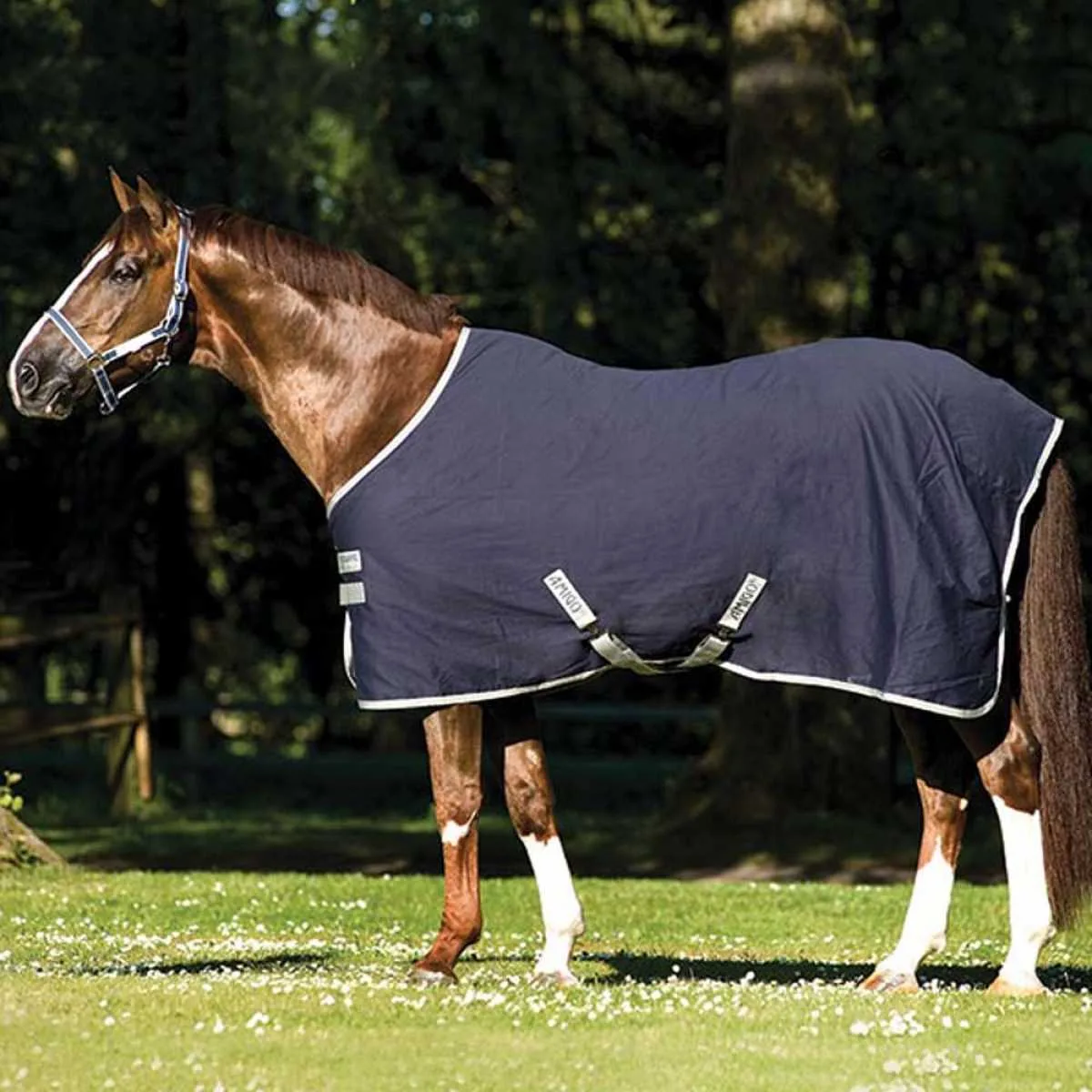 Amigo Stable summer blanket