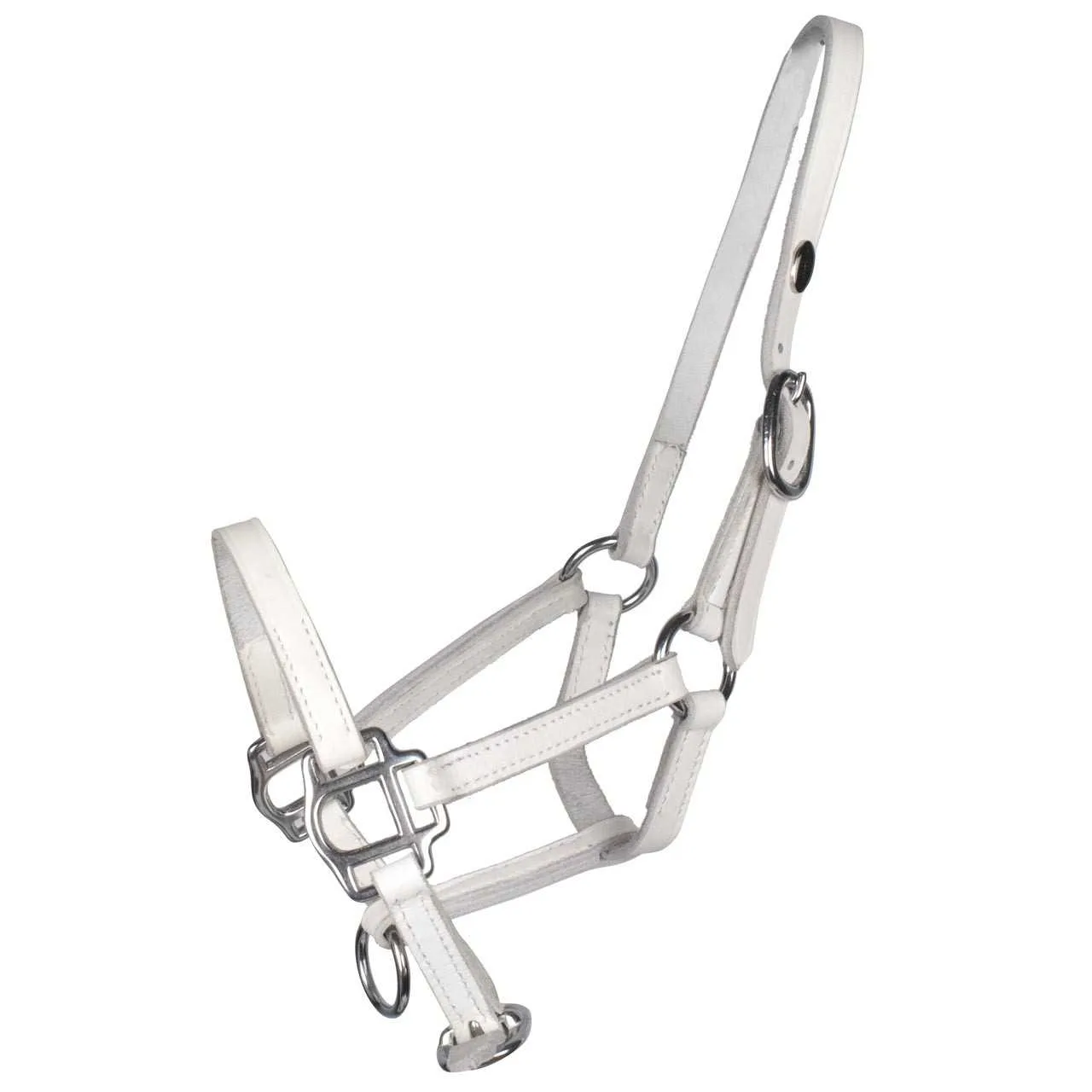 Pagony Show Halter