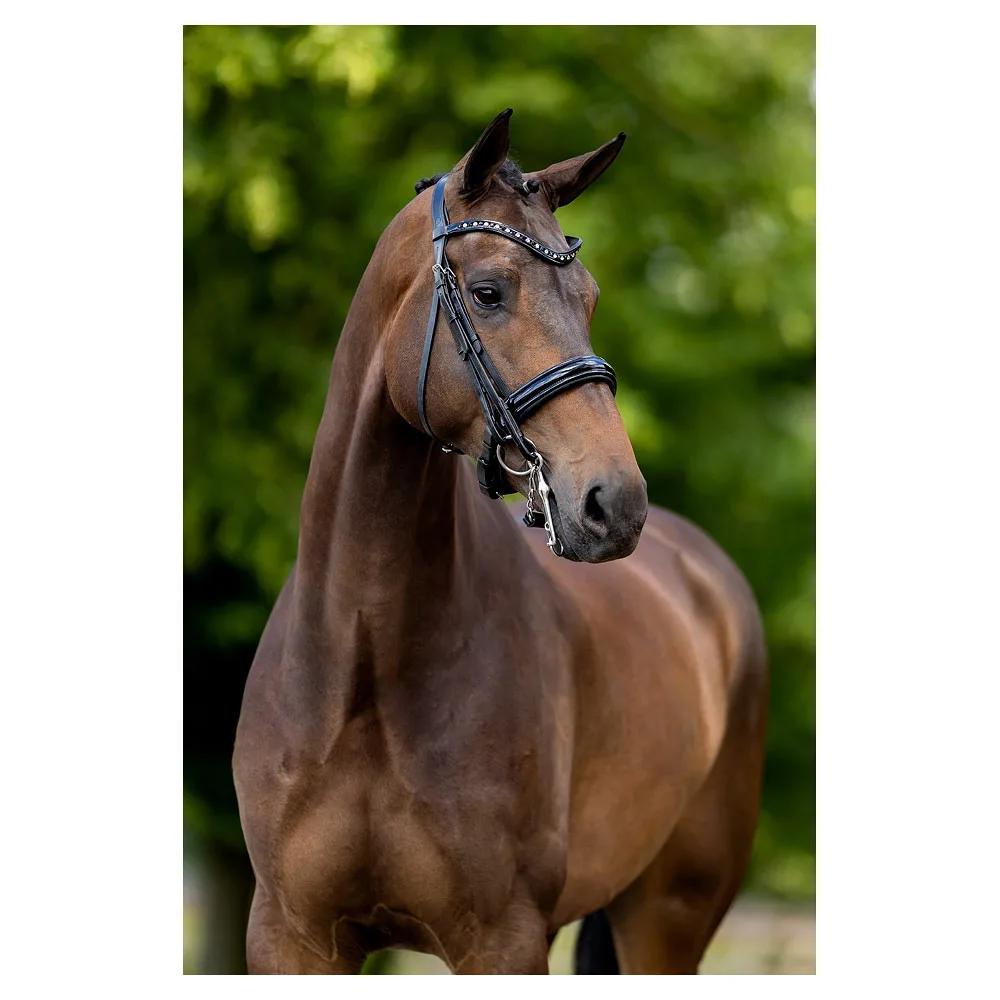 BR Headstall Wendover Bar & Trens