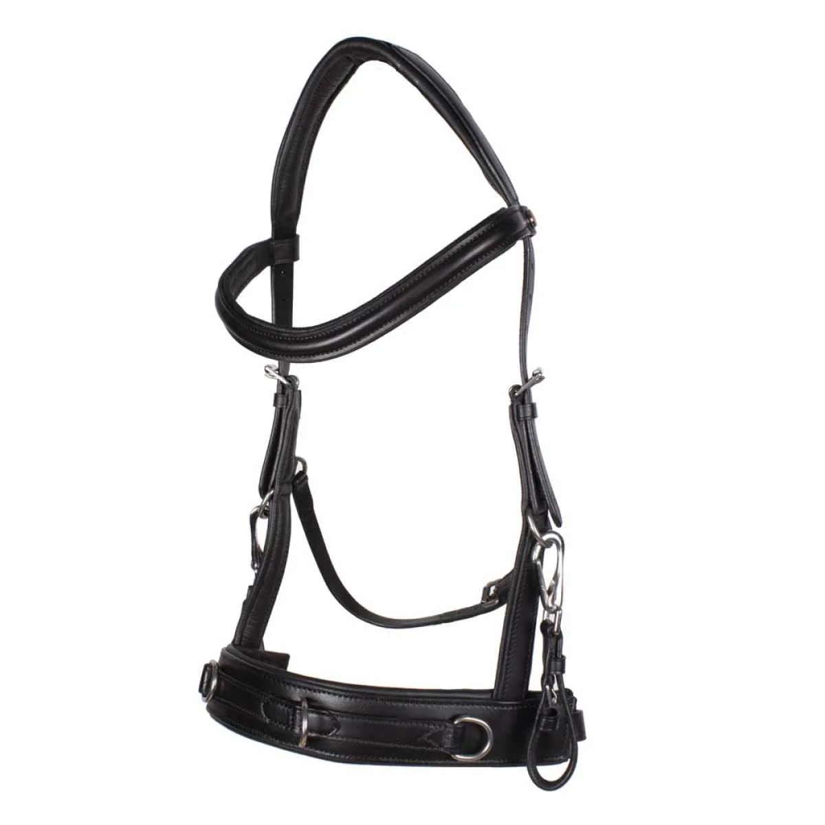 Rossner Bridle Anatomico
