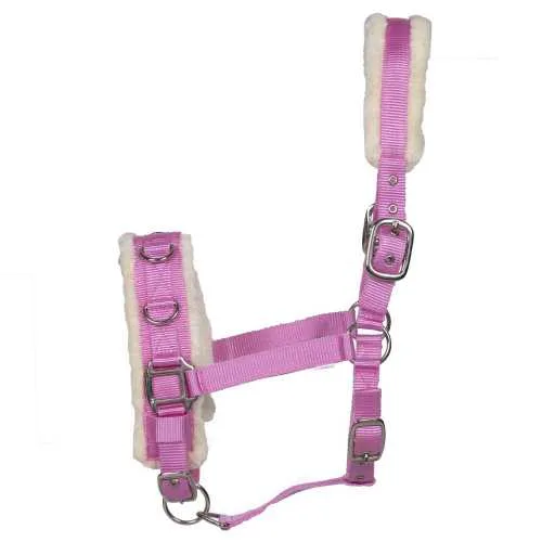Pagony Lunging Halter/Cavesson