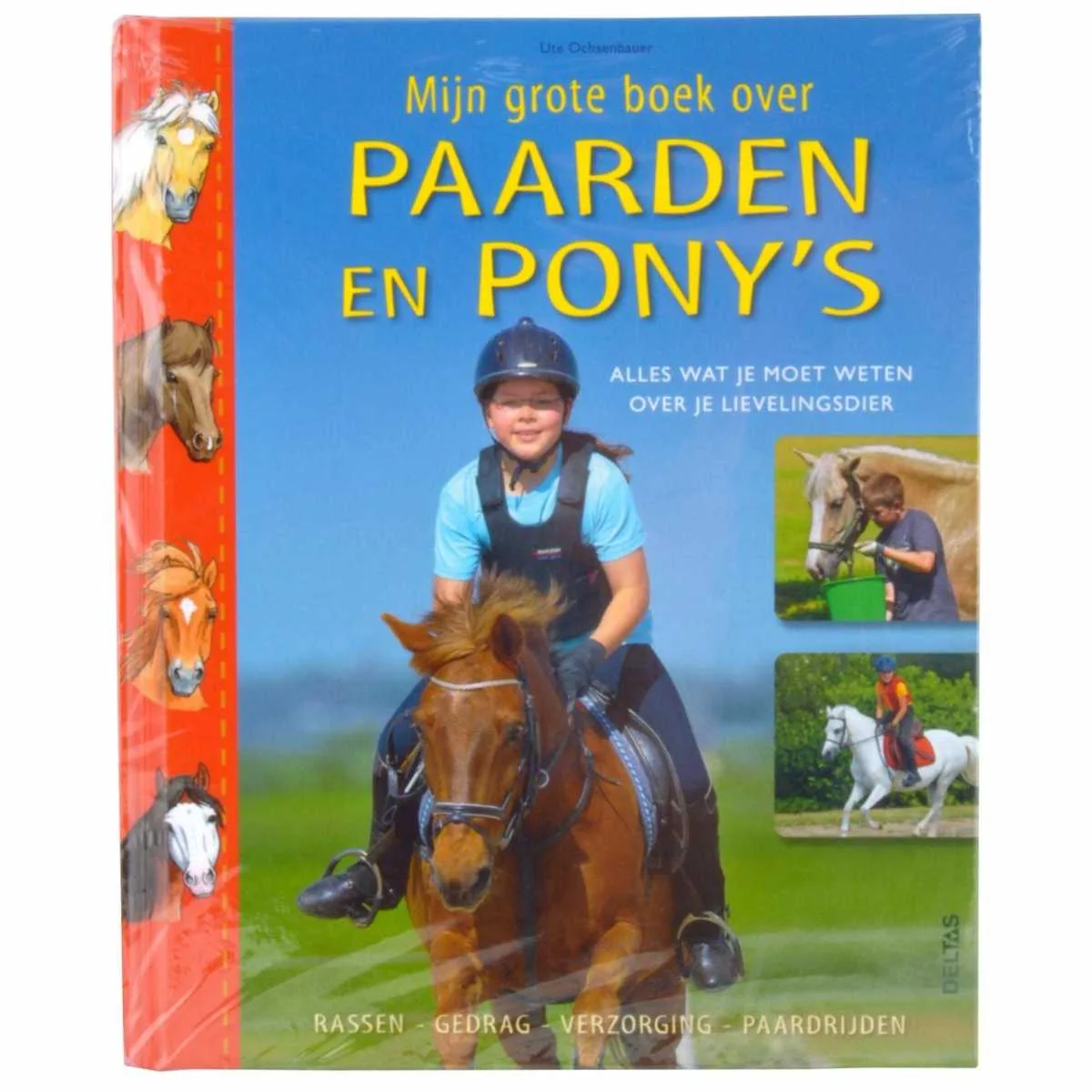 My big book about horses and ponies