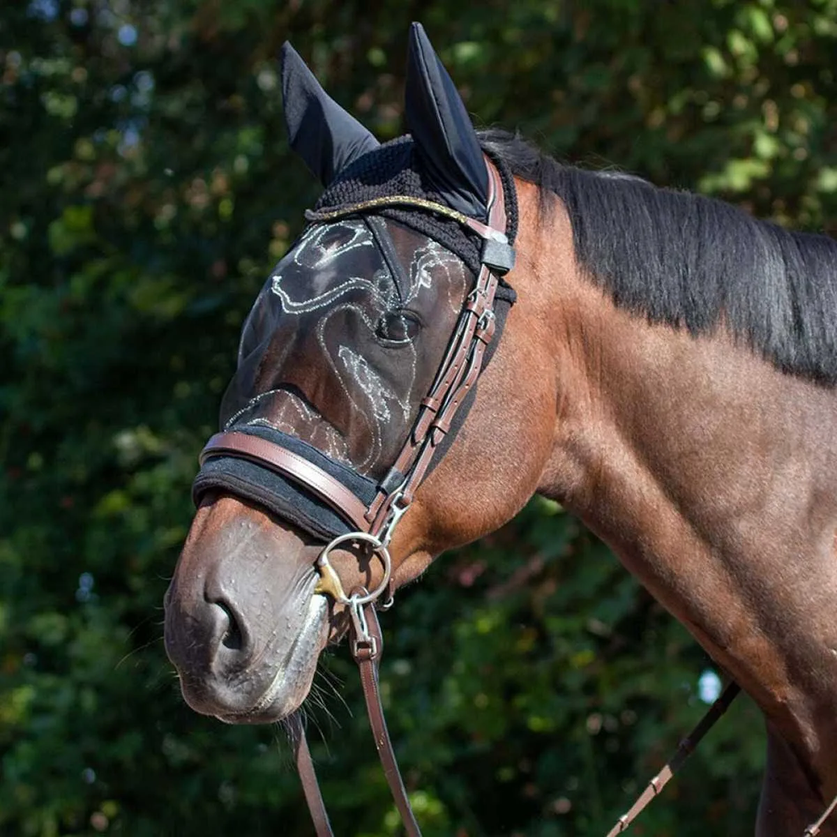 QHP Ear Net with Fly Mask