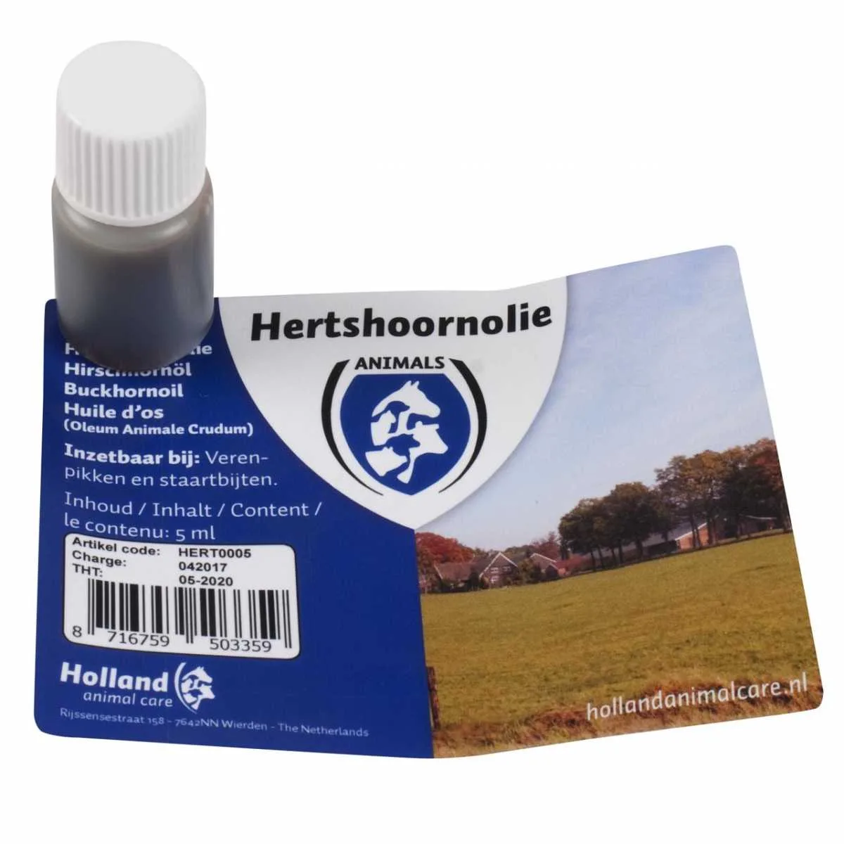 Staghorn odor