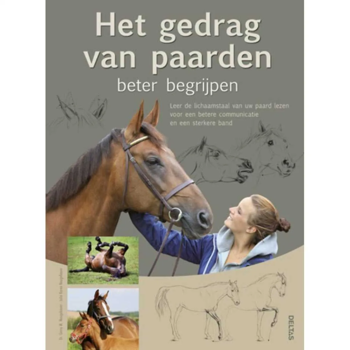 Better understanding horse behavior