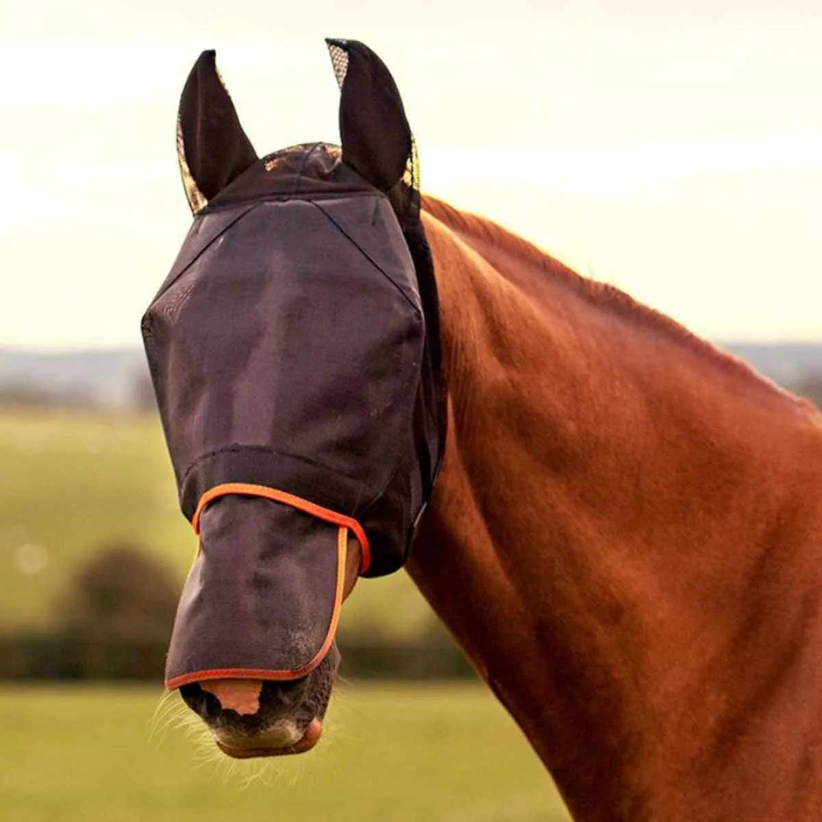 Field Relief Maxi Fly Mask