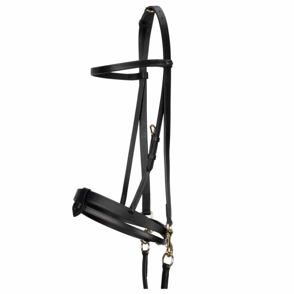 Pagony Trainings bridle