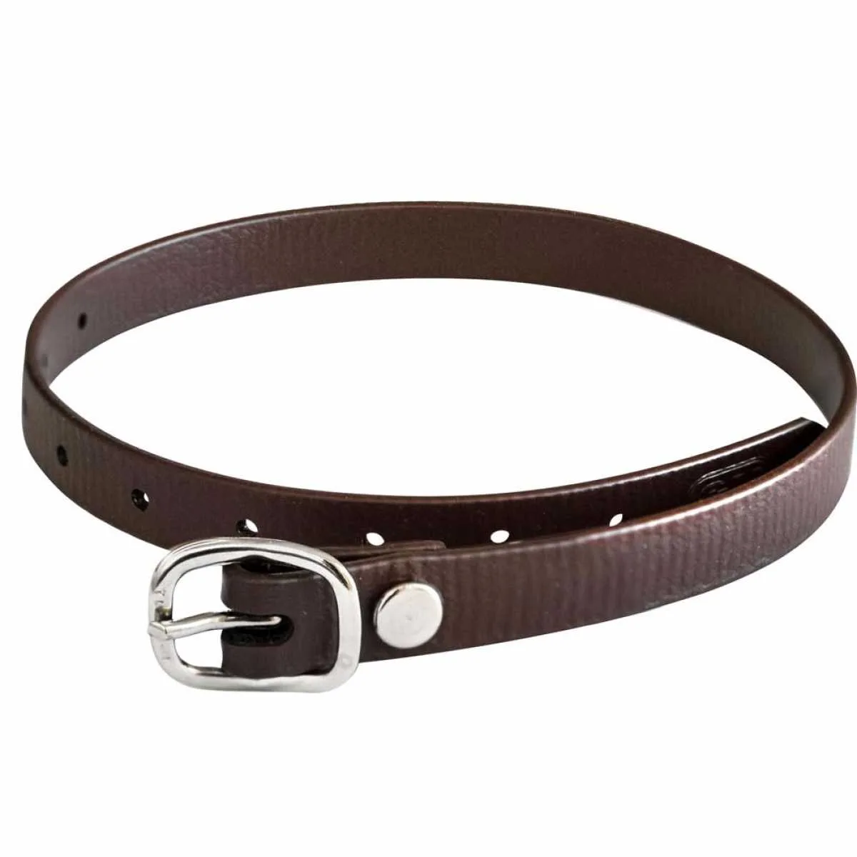 HS Sprenger Biothane spur straps