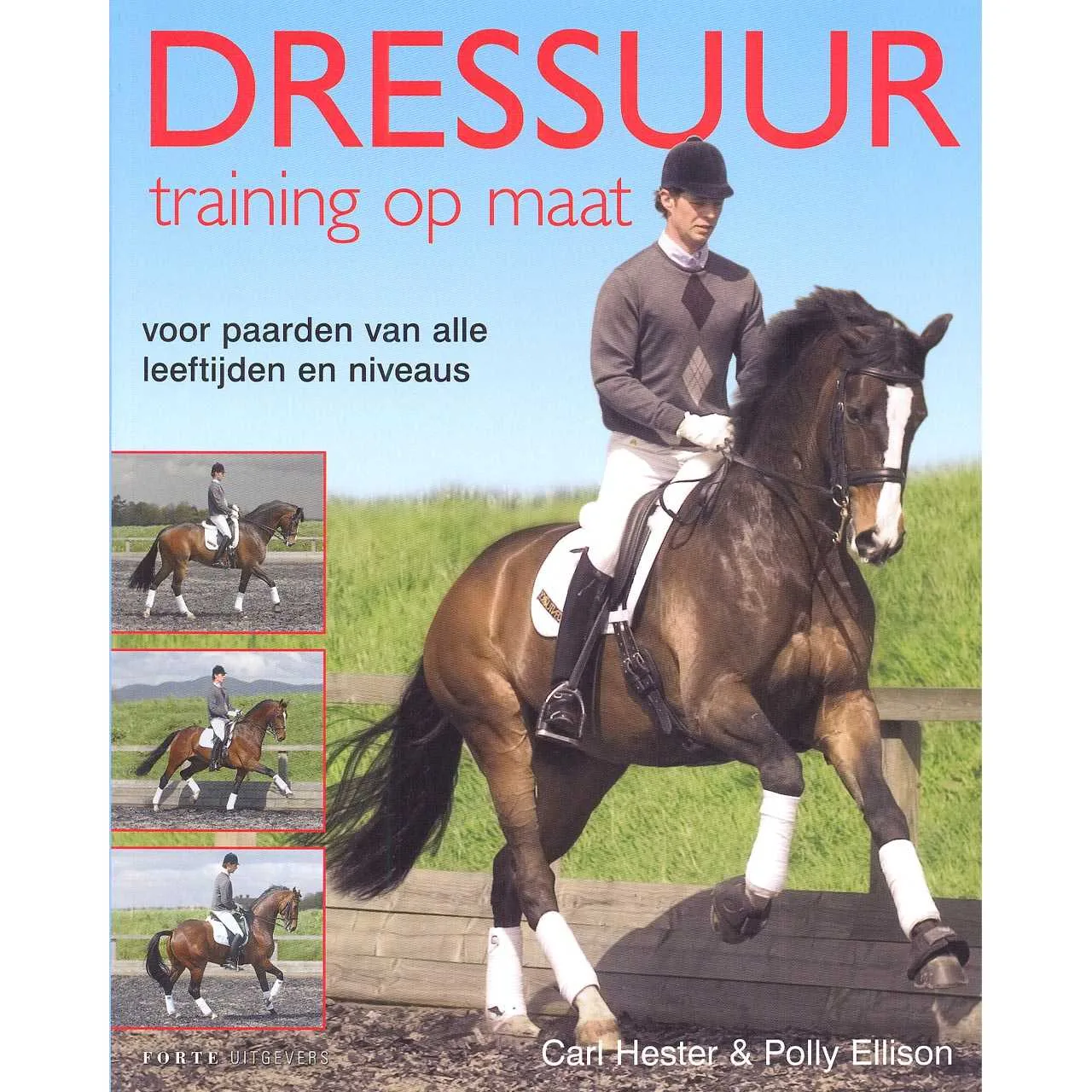 Tailor-made dressage training