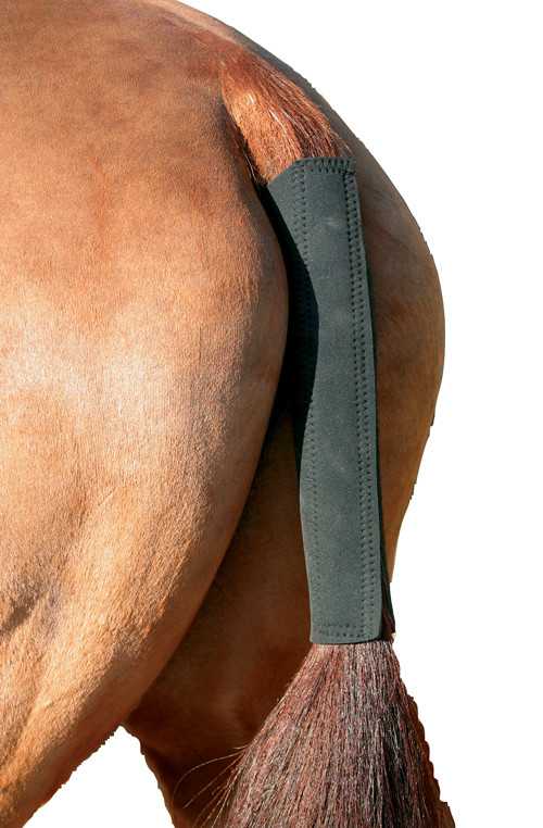 Pagony Neofoam tail casing