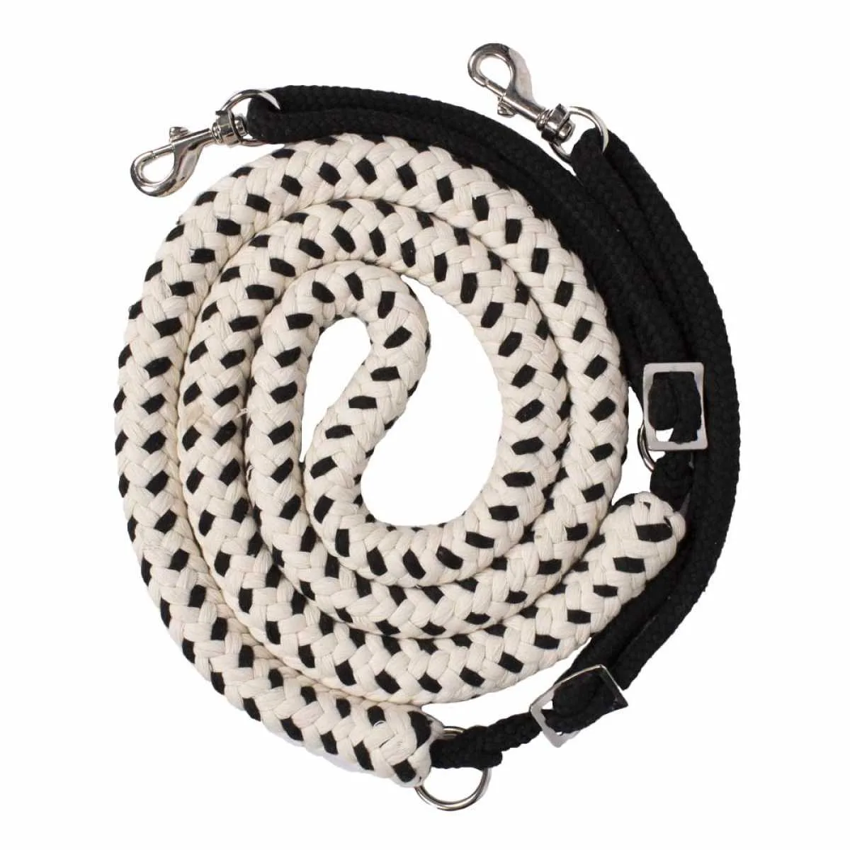 Pagony Lunging Aid