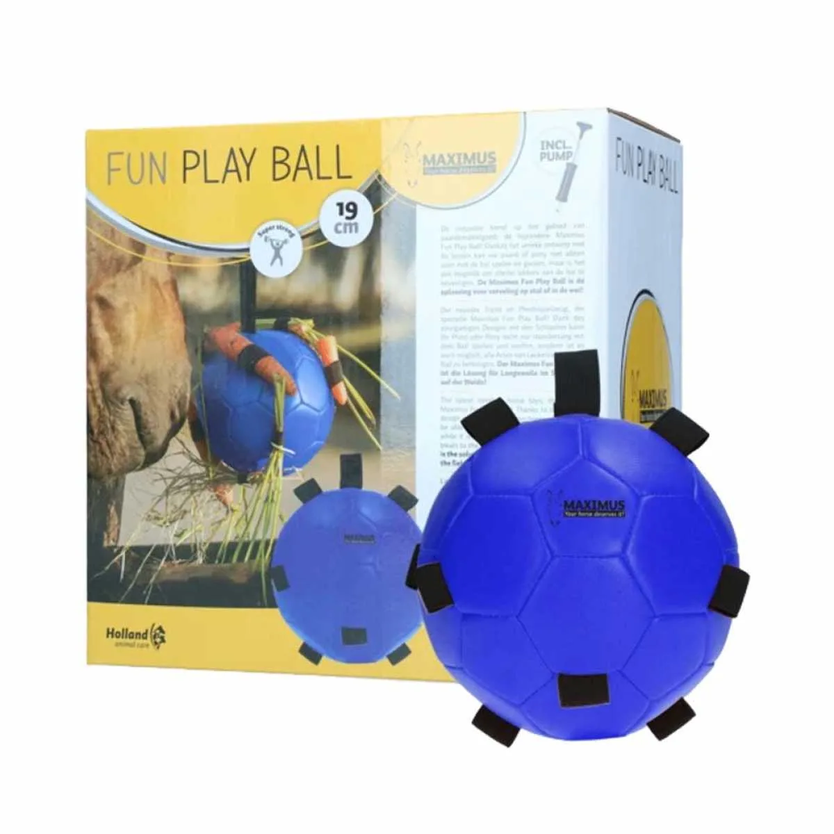 Maximus Fun Play Ball