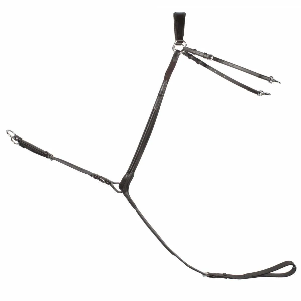 Arturo Badesi harness