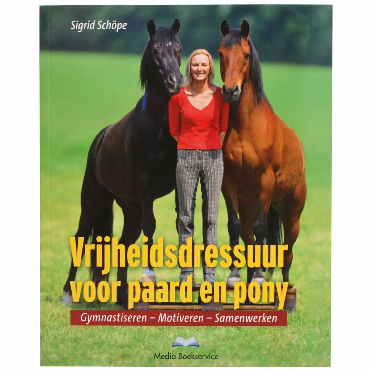 Liberty dressage for horse and pony