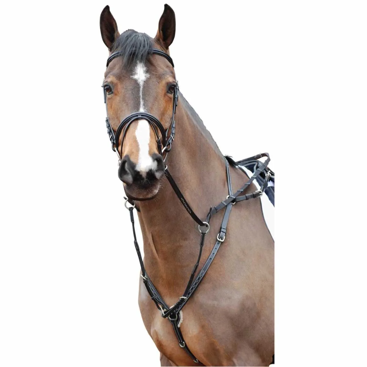 Rossner Benodet harness