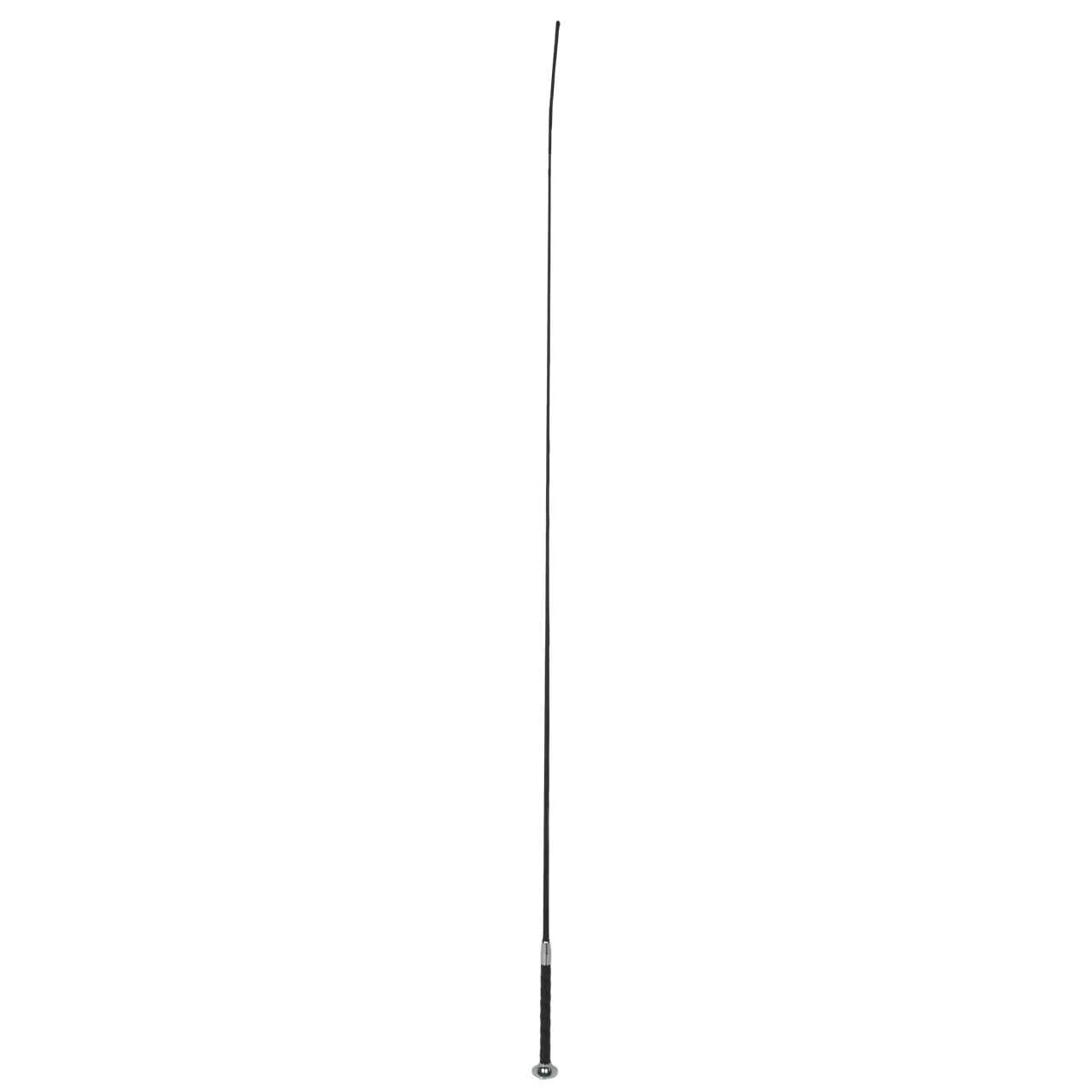 Fleck Basic dressage whip