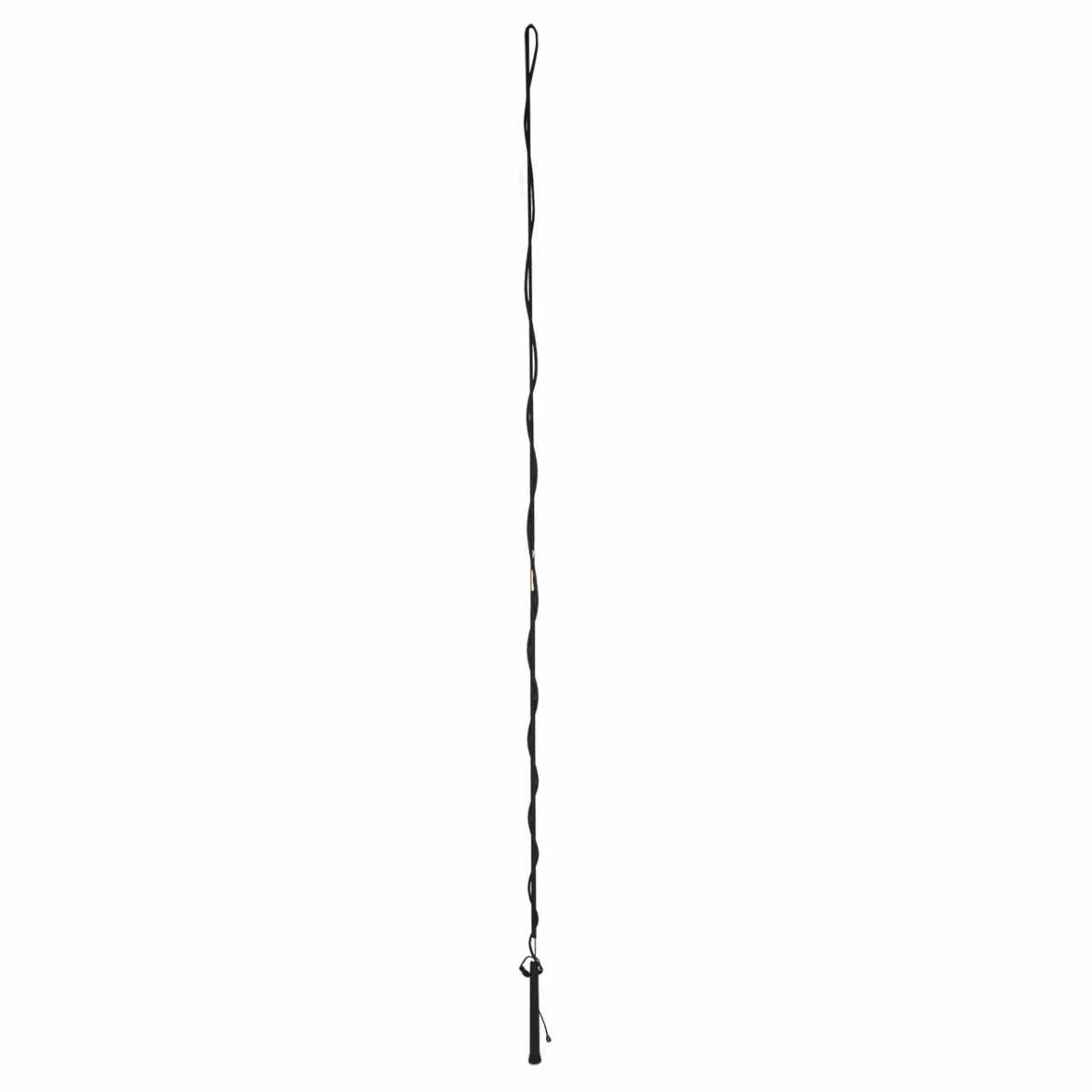 Lunging whip divisible