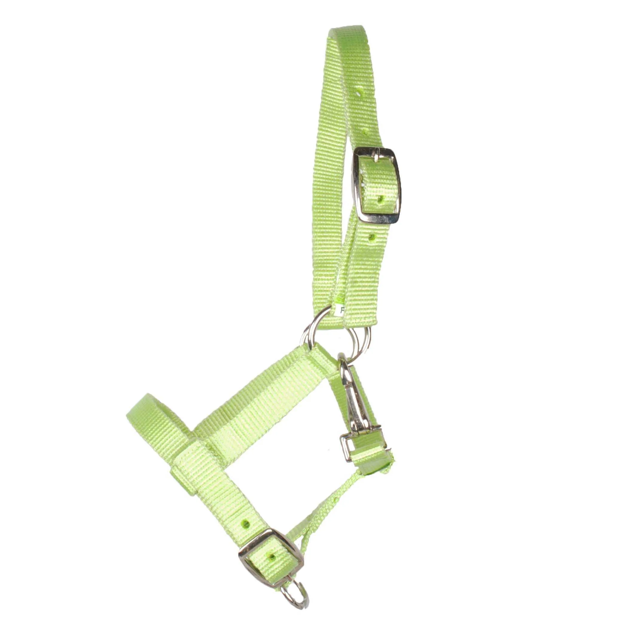 Pagony Happy foal halter