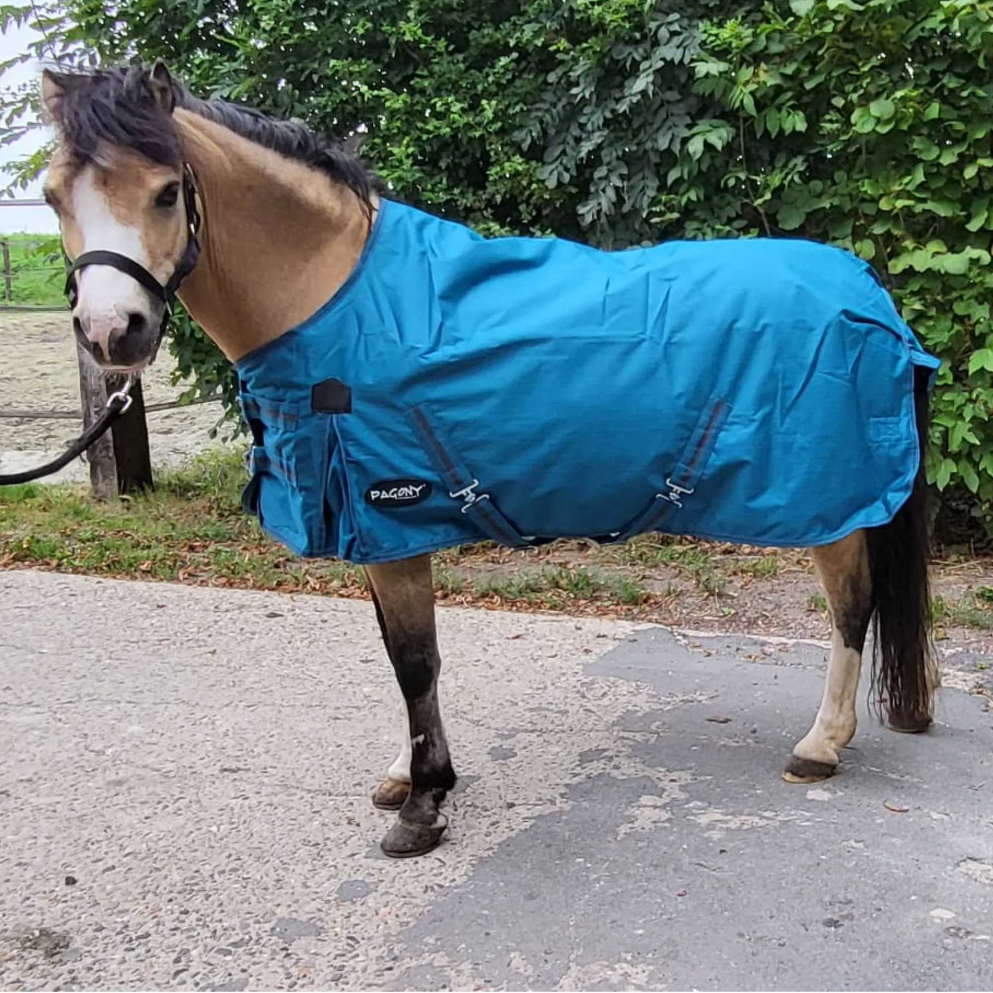 Pagony Pony Turnout 100gr