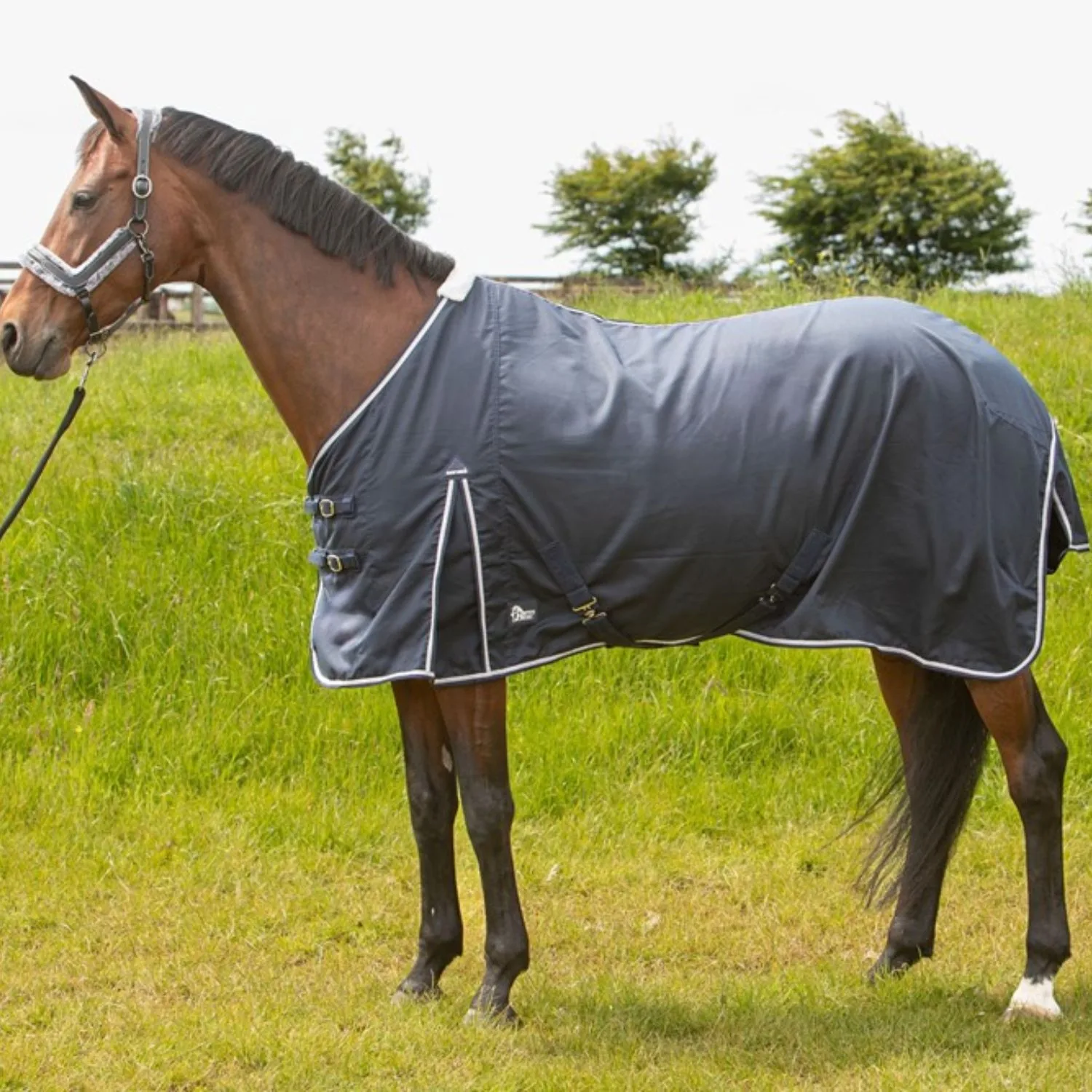 Summer blanket Premium