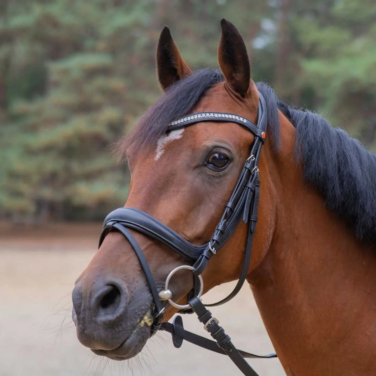 Rossner Anatomico II bridle