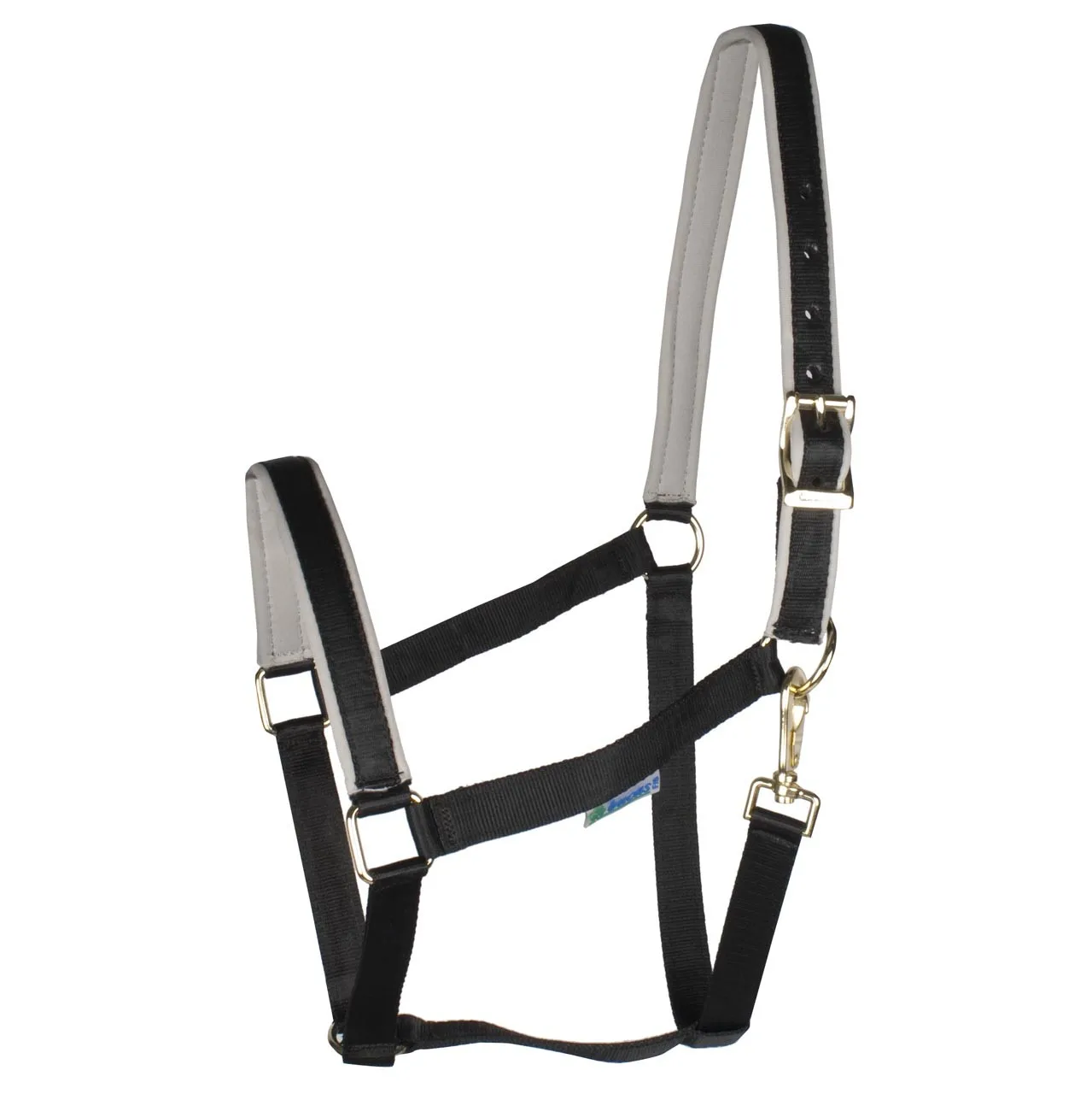 Bucas Halter Dublin Anniversary