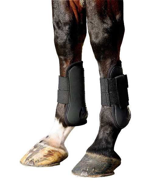 BR Tendon and fetlock boots set