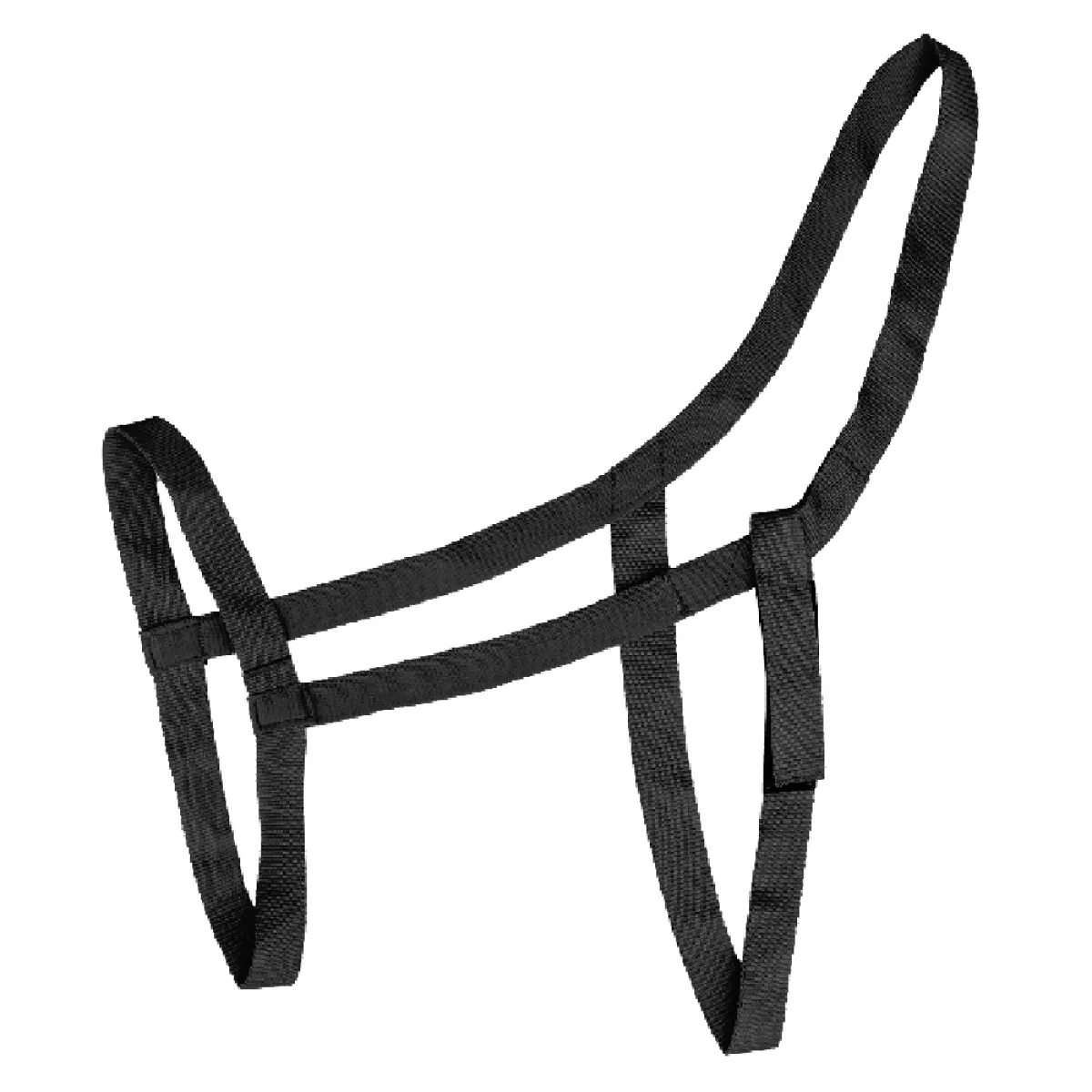 Pagony Pasture Halter