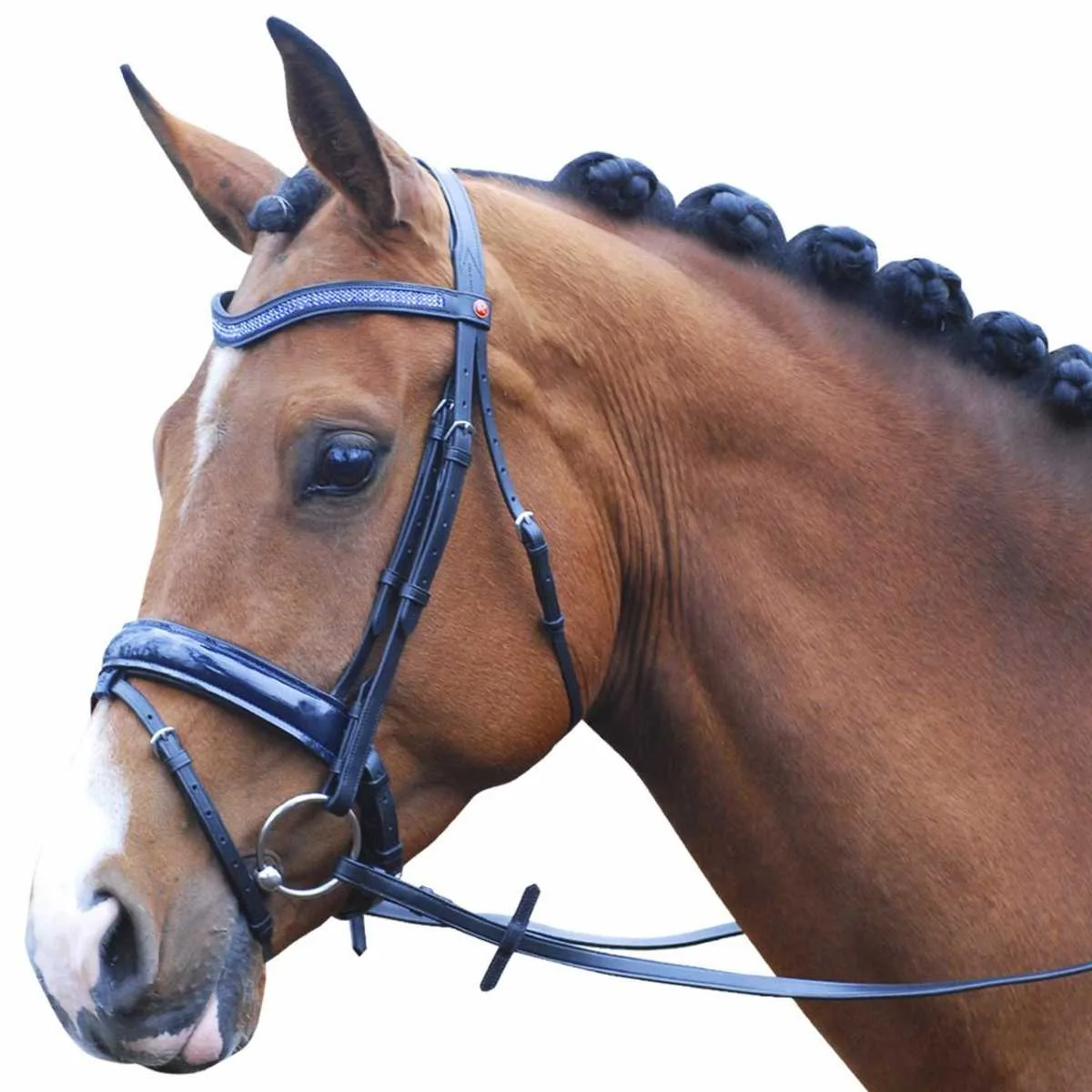 Rossner Lacquer bridle