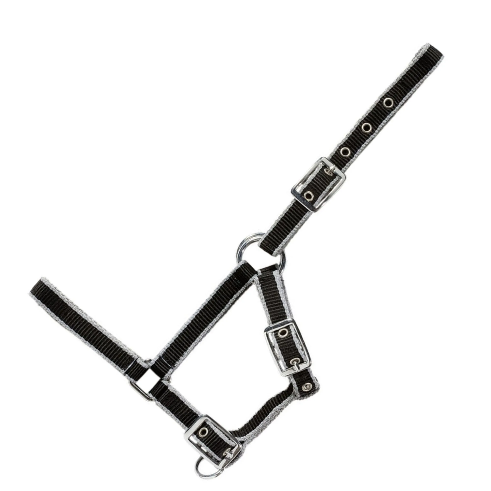 USG Foal Halter