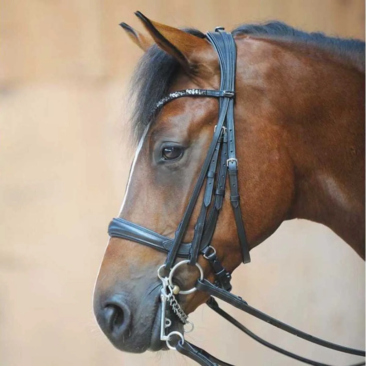 Kavalkade Ivonne 2in1 (Bar and) Snaffle Bridle