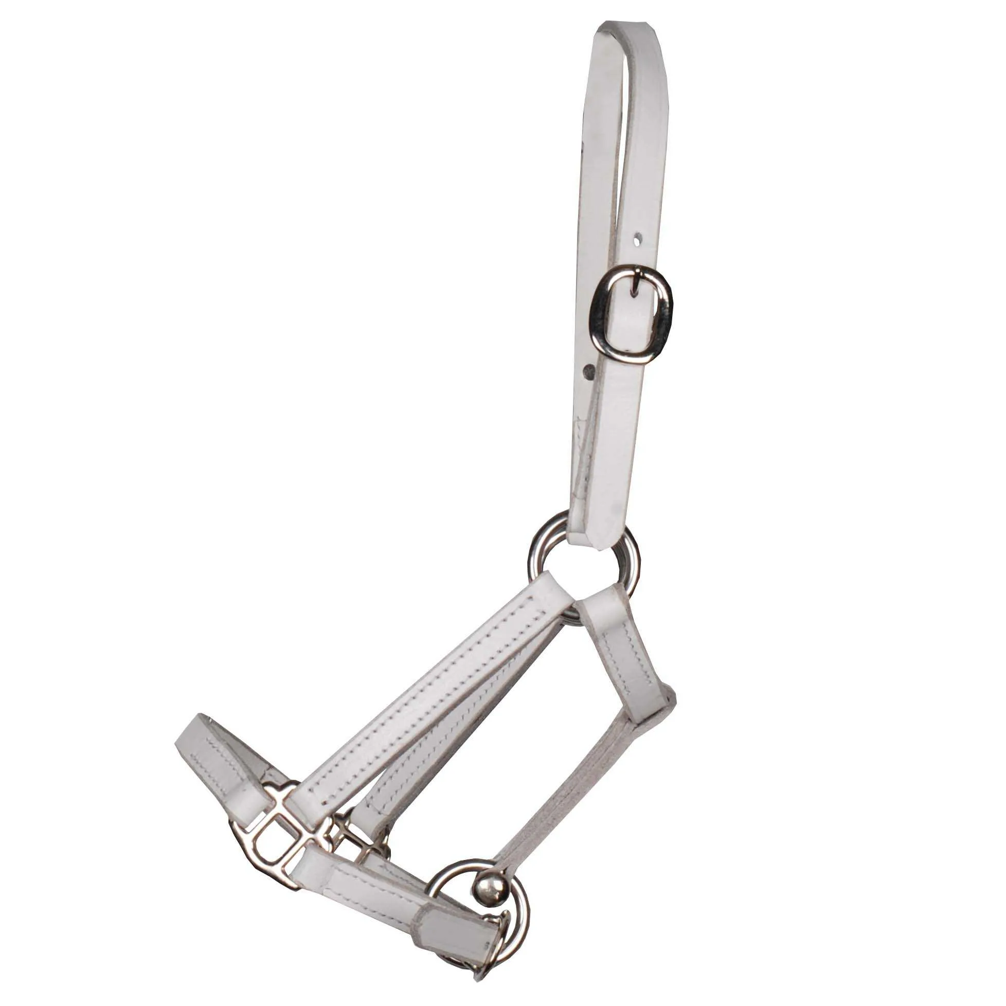 Pagony Shetland show halter